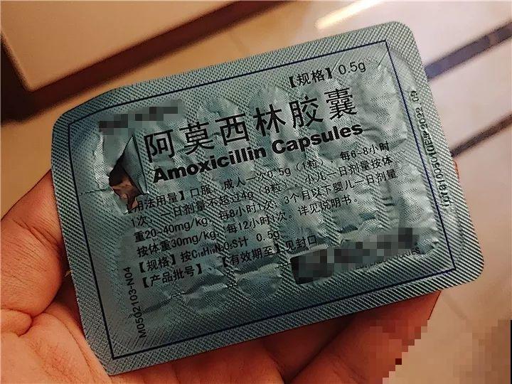 冬天不方便换盆？那就撒把这种肥，长得壮还能防烂根！