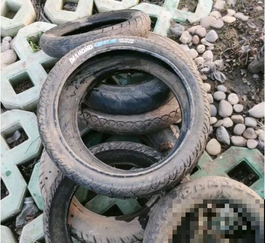 路边这2样东西，捡回家养花，花不烂长得旺！