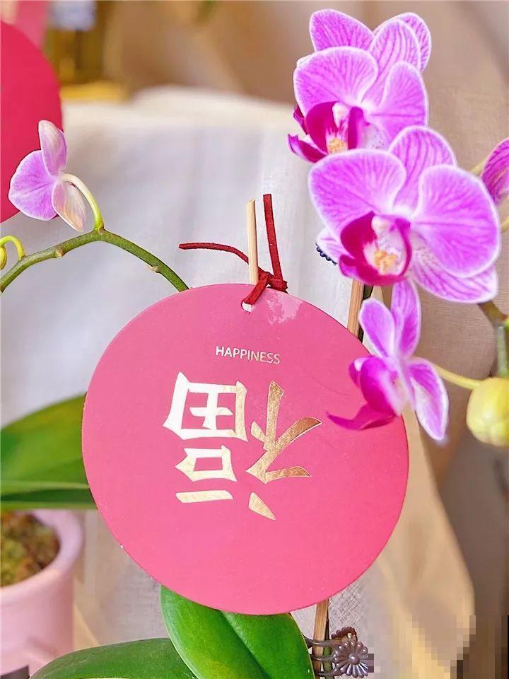 正月初一，过年好！带着花儿来拜年！