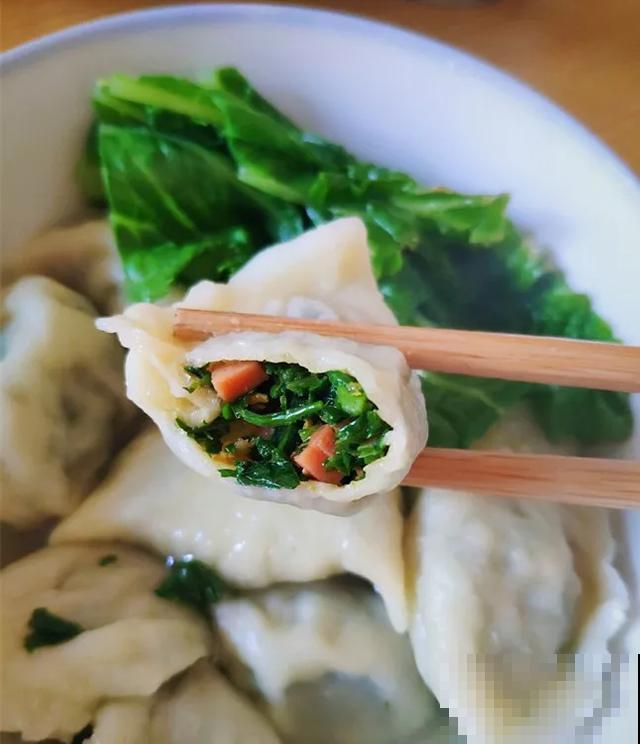6种野菜最好吃，春天一定不能错过，炒鸡蛋包饺子真美！