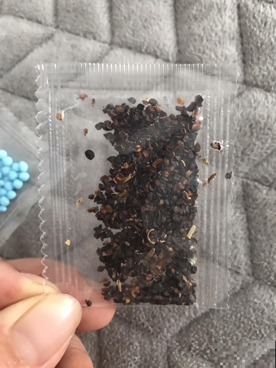 现在撒几粒这种子，母亲节刚好长出一捧花，既有心意还省钱！