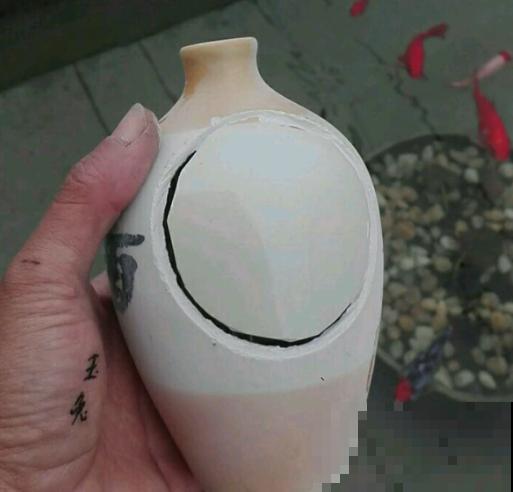 家里的酒瓶和多肉，搭配起来美呆了，比买的还好看！