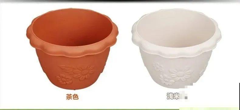 最耐阴的花是它，光不好叶子绿油油，比绿萝还好养！