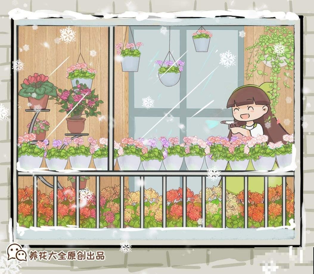 这花真是个“劳模”，一年能开10个月，谁看了都羡慕