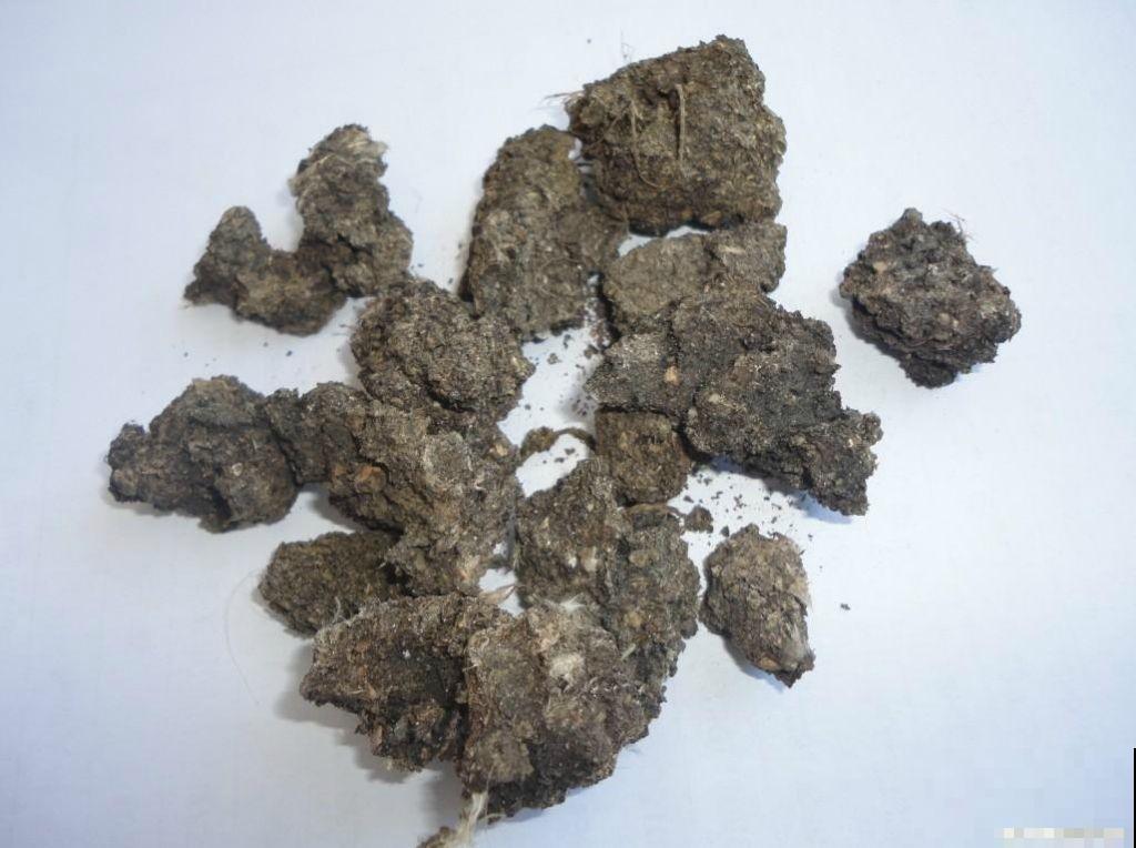 别捏鼻子了，这几种动物粪便都是宝，塞土里就成养花妙药！