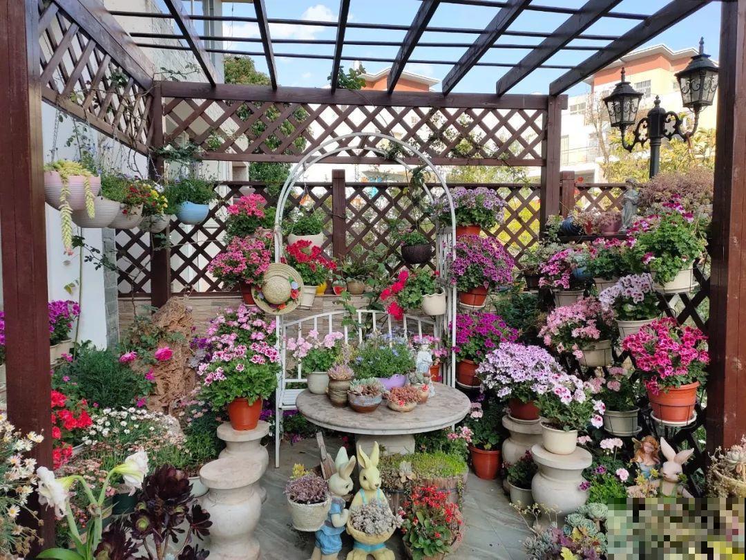 她在院子里养了上百种花，美食配着美花，日子乐悠悠！