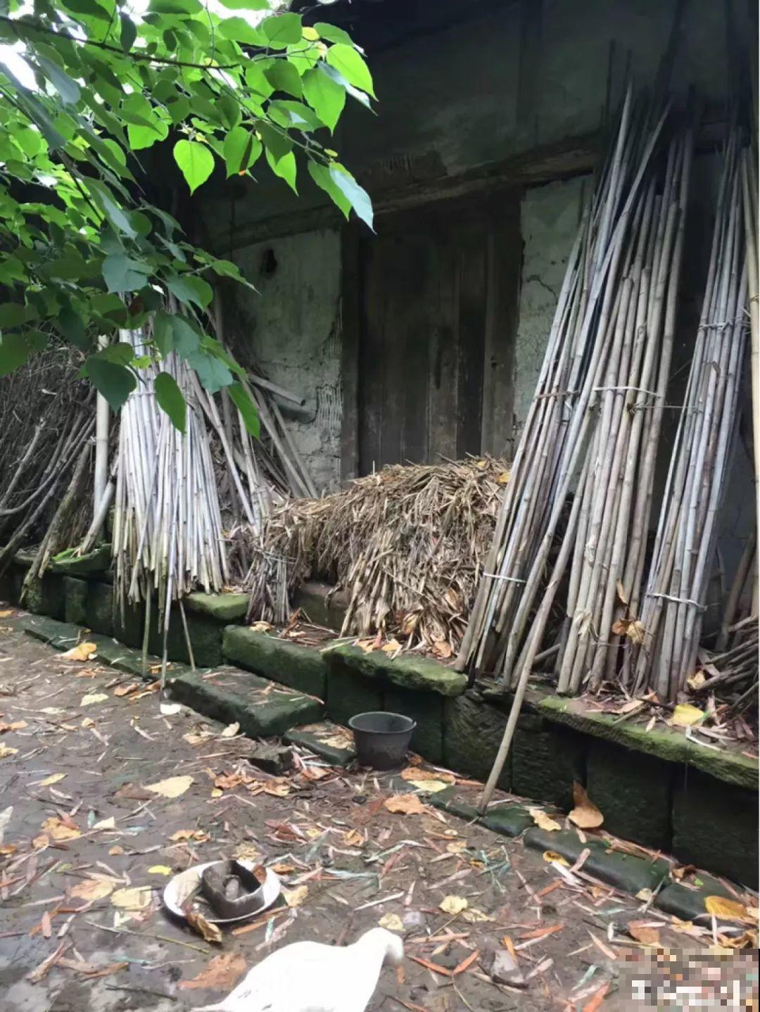 他甘愿回到农村，把荒废的老屋，改造成花园！
