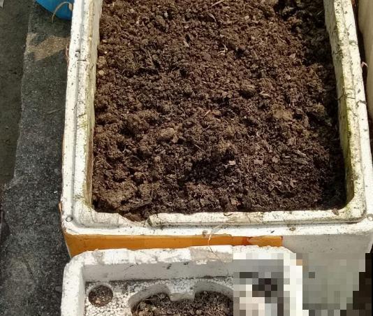 换盆的旧土别扔，加点“废料”捂一捂，3个月后又是松软的大肥土