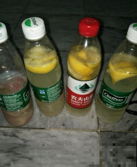 原来这种水果皮也能养花，以前都当垃圾扔了，这下赶紧留起来！