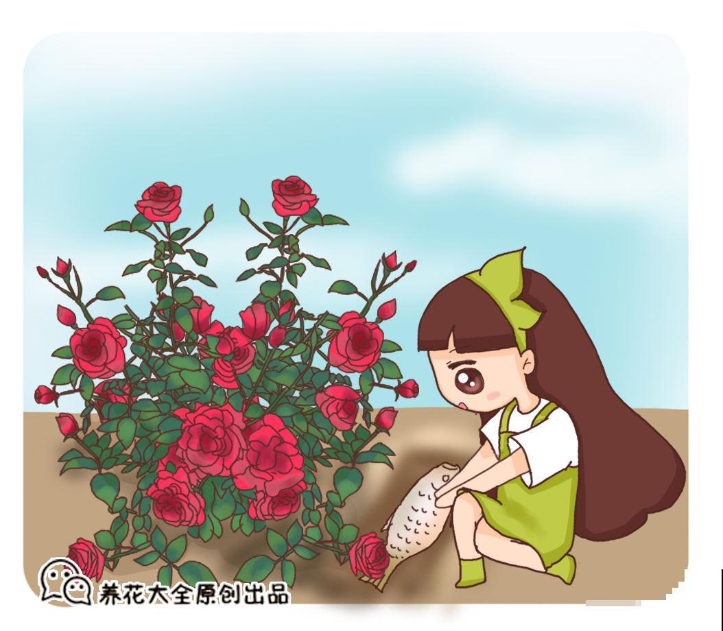 4种花，现在赶紧施肥，否则一年都不开花