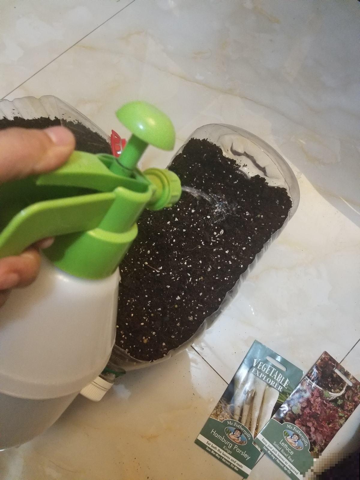 邻居在阳台种了3种菜，半个月就长成，掐一把炒菜，真香！