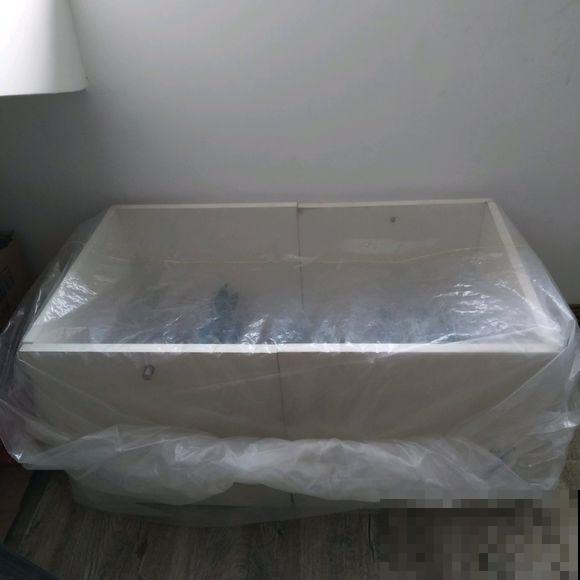 绿萝剁八段，埋土里就发芽，10天长出一茬苗！