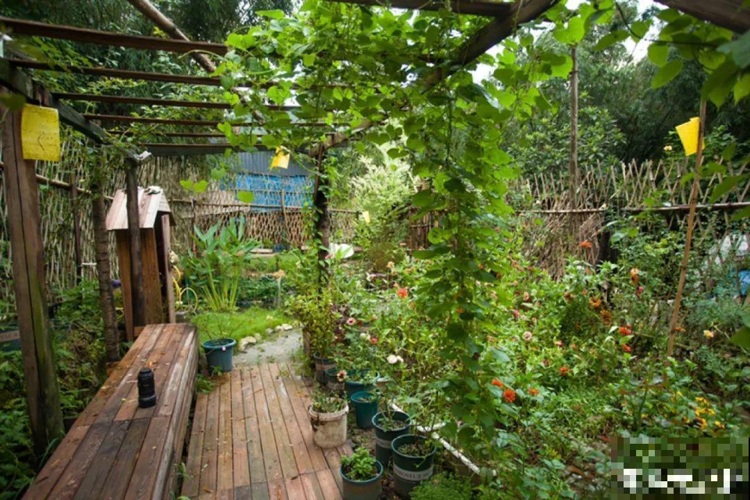 他甘愿回到农村，把荒废的老屋，改造成花园！