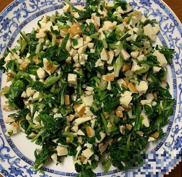 6种野菜最好吃，春天一定不能错过，炒鸡蛋包饺子真美！