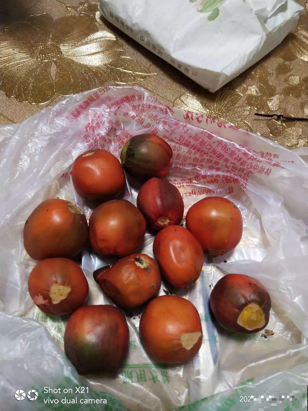 这花特好养，撒一把丢土里，冒出一堆新芽！