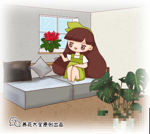 卧室有这4种花，赶紧搬出去，对身体不好！