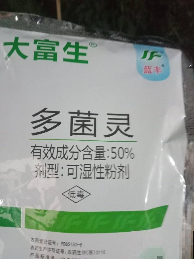 这种养花工具得会使，养花不用愁，一整年都蹭蹭长
