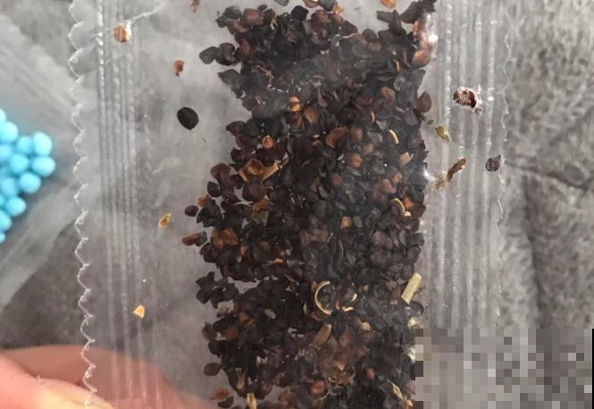 鲜花太贵别买了，不如买把种子，亲手种出来更有意义！