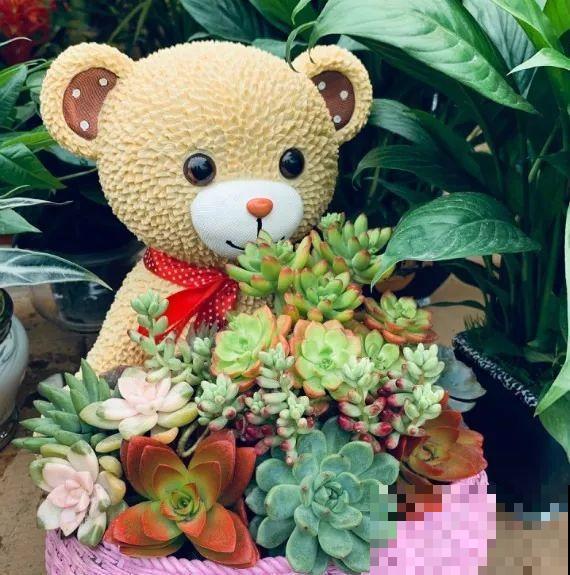 买花的时候注意这一点，省得被骗，带回家也养不活！