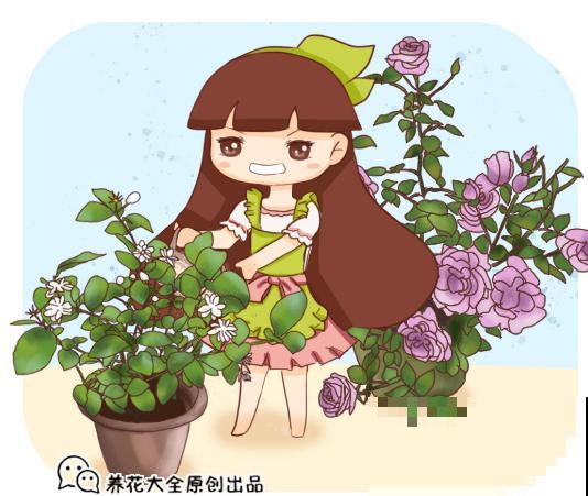 春天6种花要勤施肥，灌点自制肥水，满盆都在冒花苞！