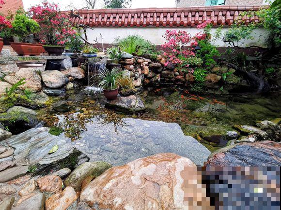 想回到农村，把老家改造成花园，庭前种花，屋后种菜！