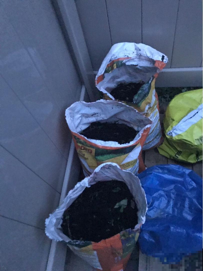 立春后，花儿都快醒了，该给花喂点肥了