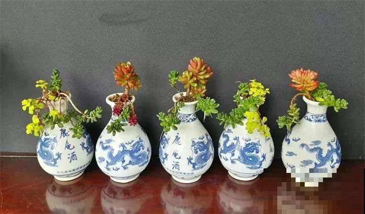 路边这2样东西，捡回家养花，花不烂长得旺！