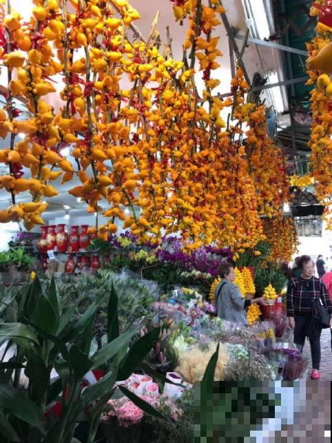 花市买花要会“挑”，挑对了开花一大片，整个春天有花看！