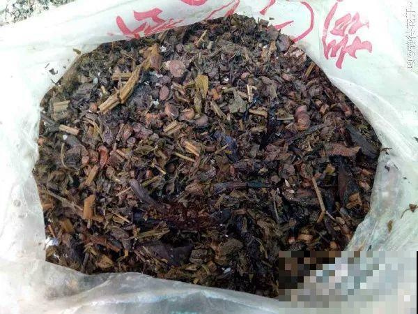 冬天不方便换盆？那就撒把这种肥，长得壮还能防烂根！