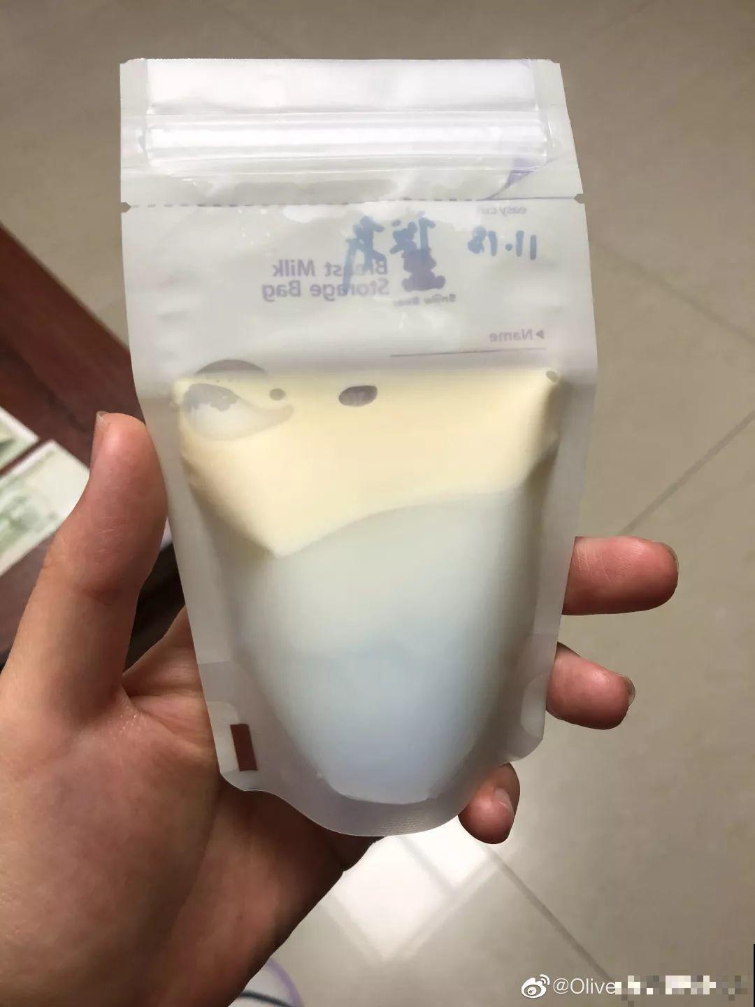 鸡蛋壳这么用，啥效果也没有，反而招了满盆小虫子！