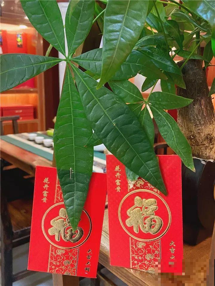 正月初一，过年好！带着花儿来拜年！