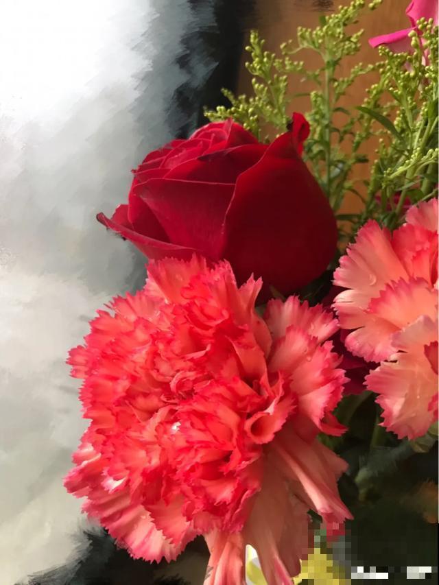 这花爆开50朵，剪几枝送人倍有面子，比买鲜花强多了！