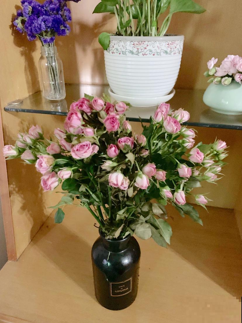 鲜花插瓶里，水里加点它，花期延长1个周