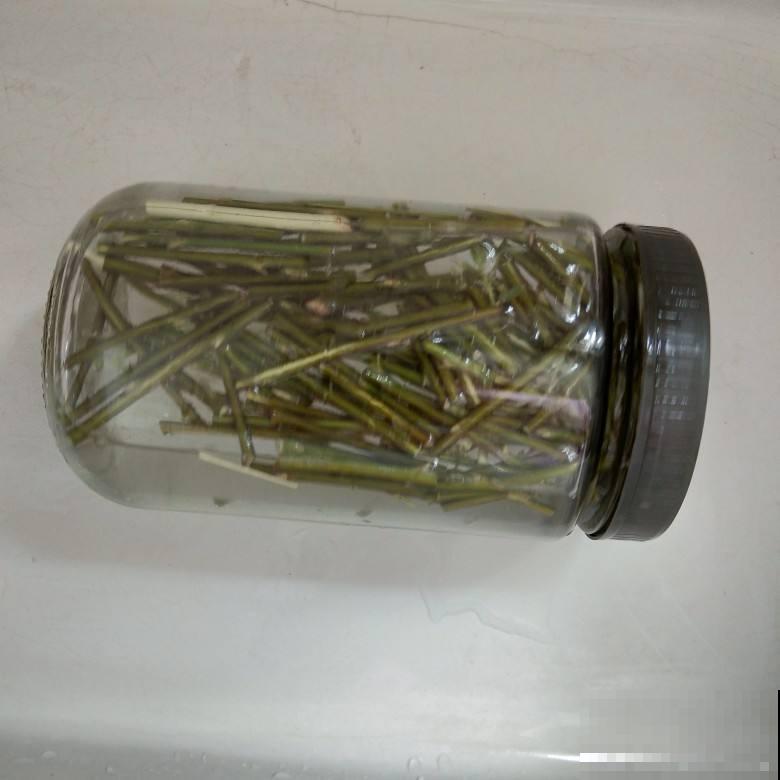 出门溜一圈，路边见到这些“垃圾”，拿回家都是养花“宝贝”