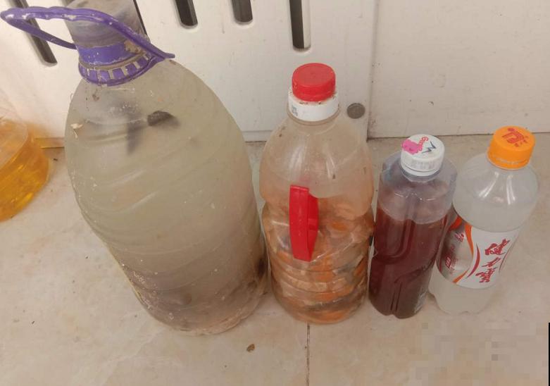 蛋壳养花5大用处，教你养出萝卜根，叶子茂盛挤爆盆！