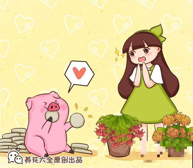 “5种”动物粪便，拿来给花做底肥，花吃了蹭蹭长
