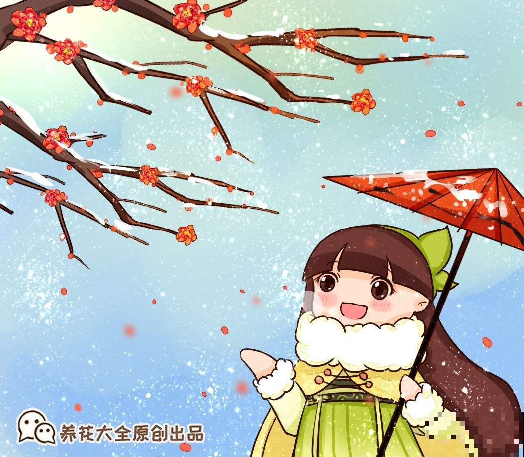 古代人都爱养的“4种花”，特上档次，家里养一盆，富贵满堂