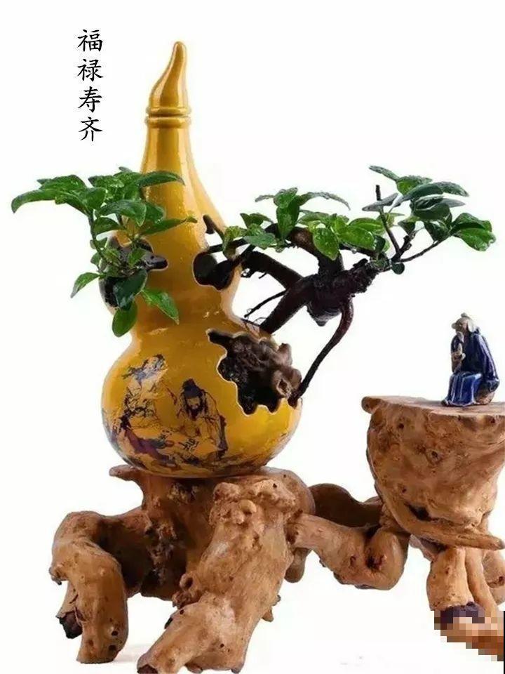 酒瓶子舍不得扔，做成花盆，美到你认不出来！