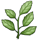 这6种花，现在扦插最好活，摘片叶子照样生根！