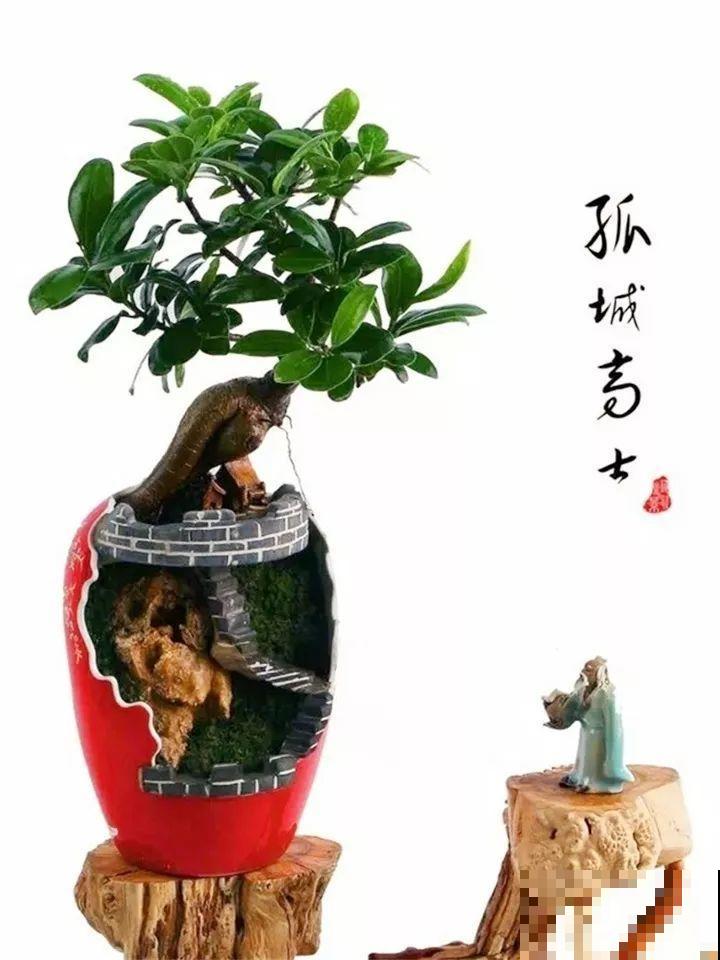 酒瓶子舍不得扔，做成花盆，美到你认不出来！
