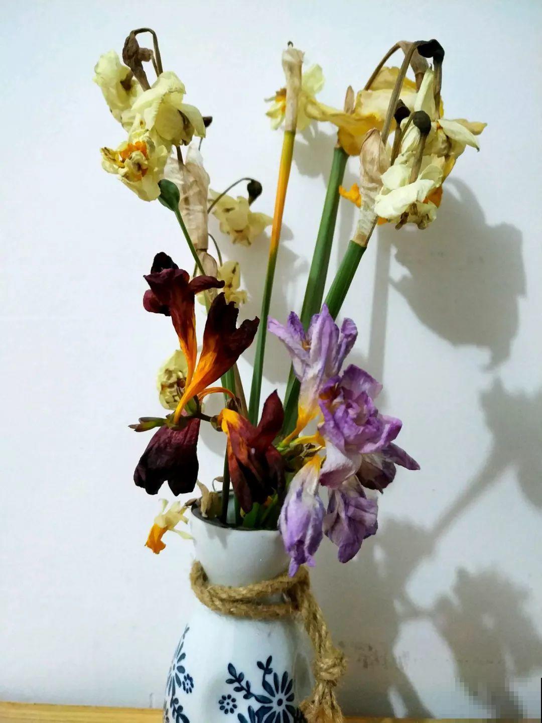 这花真奇葩，越开花叶子越黄，掐一把、来年继续开！