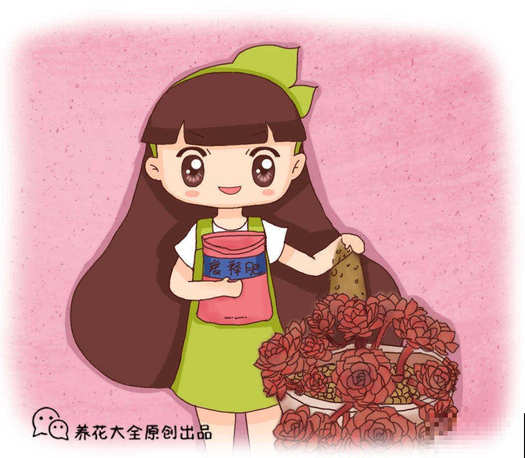 立春后，花儿都快醒了，该给花喂点肥了