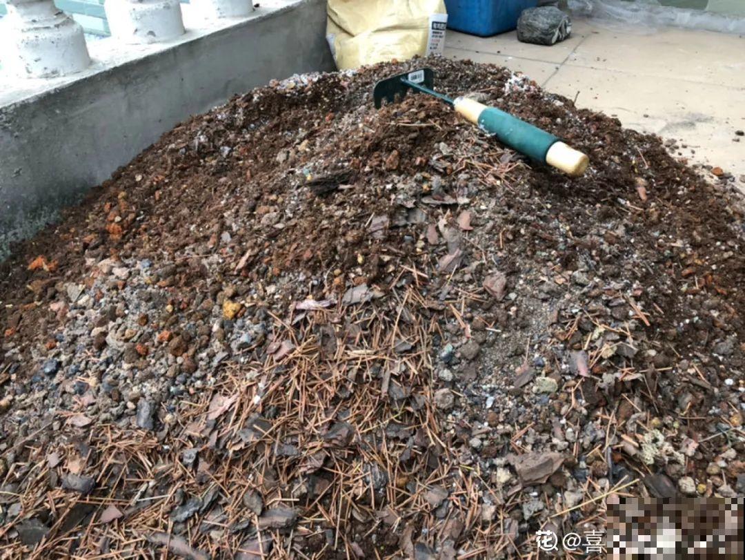 吃剩的骨头留起来，这样一加工，刚好春天给花用！