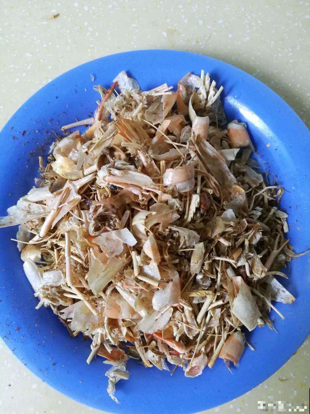 1把果壳丢盆里，比任何肥料都好使，养10年不烂根！