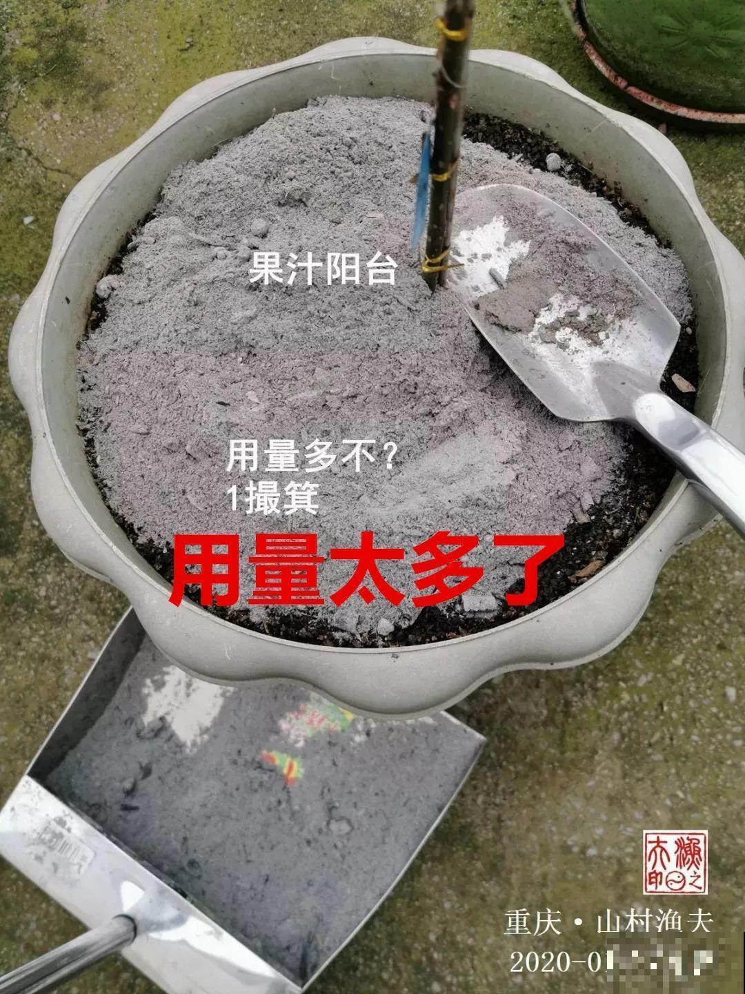 小心点，给花浇上84消毒液，直接活不过3天！