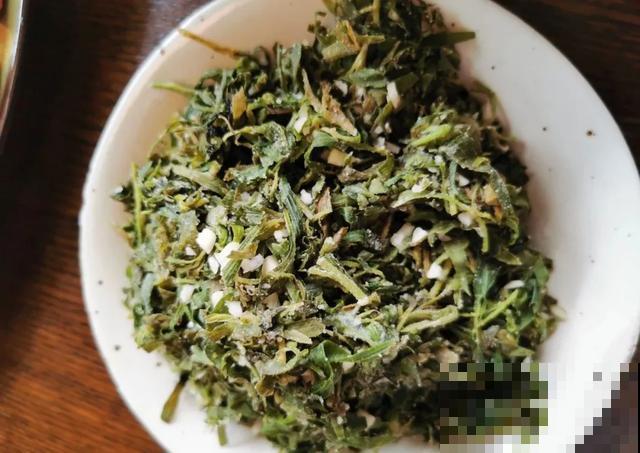 春天野菜赛黄金，教你2种做法，好吃又养生！