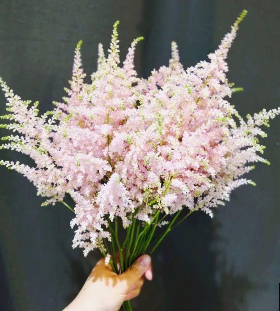 这花春天埋土里，能开好几枝，自带“贵妇”气质！