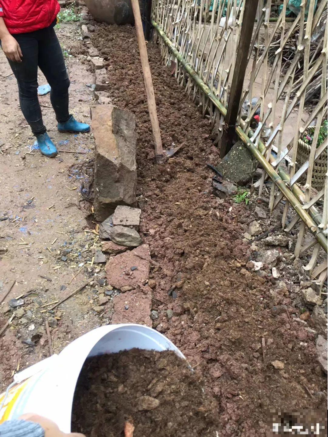他甘愿回到农村，把荒废的老屋，改造成花园！