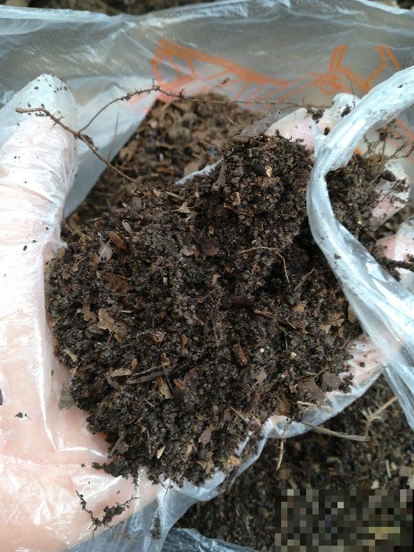 土里掺点它，俩月变成好花土，给花用连肥料都省了！