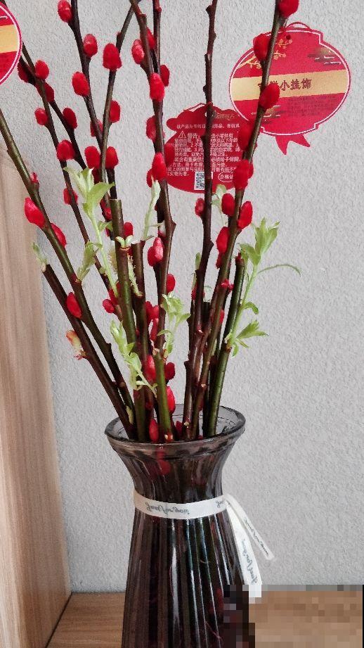 都说它是假花，没想到喂点水，就能开满枝！